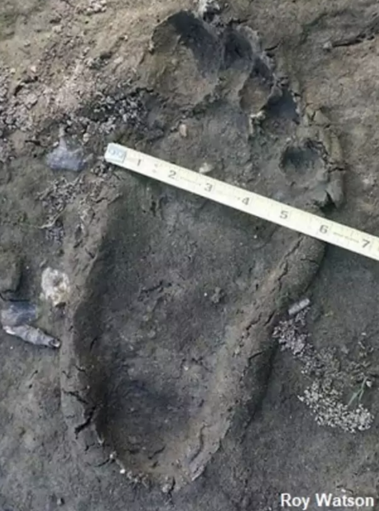 bigfoot print